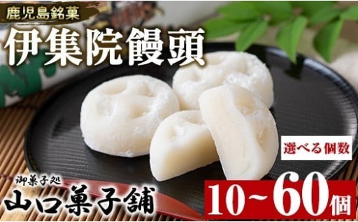 ＜選べる個数！＞伊集院饅頭(計10～60個)