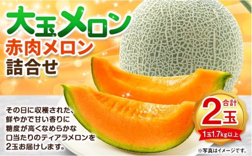 大玉 赤肉 メロン 2玉 詰め合わせ （1玉 1.7kg以上）