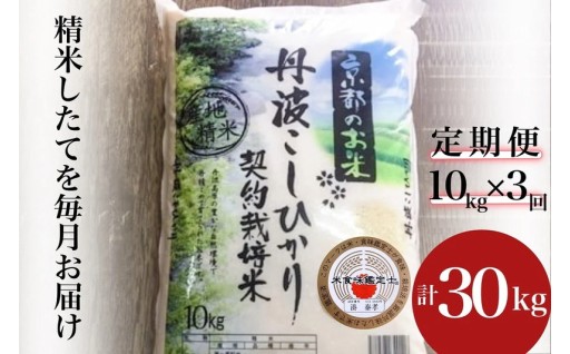 1月に人気のお米・パンの定期便をご紹介！