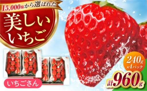 佐賀のブランド苺「いちごさん」