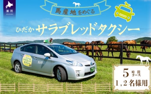 【今年は午年ですね！🐎✨】