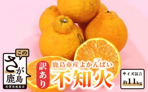 鹿島産 不知火 しらぬい 約11kg みかん