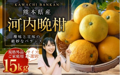 【規格外品】河内晩柑 ご家庭用 15kg サイズ不選別【2026年3月下旬～6月下旬発送予定】 