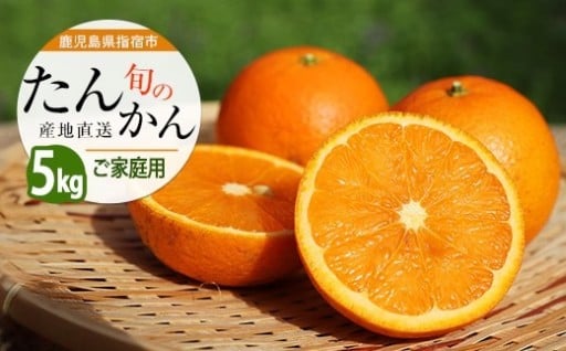 南国育ちの濃厚たんかん！ジューシーな果汁で冬に元気チャージ🍊