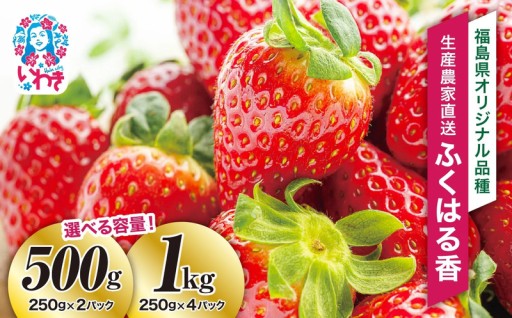 選べる容量【産地直送】いわき市産いちごふくはる香