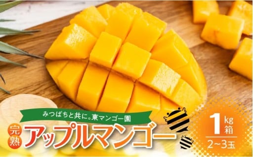 【📅先行予約】南の島で太陽の日差しをたっぷり浴びた沖永良部産「完熟アップルマンゴー」🥭