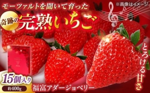 モーツァルトが奏でる奇跡の甘み。音楽と愛情で育った完熟いちごをお届け！