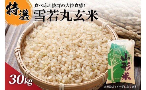 🌾【令和7年産米】一等米 雪若丸 玄米 30kg🌾