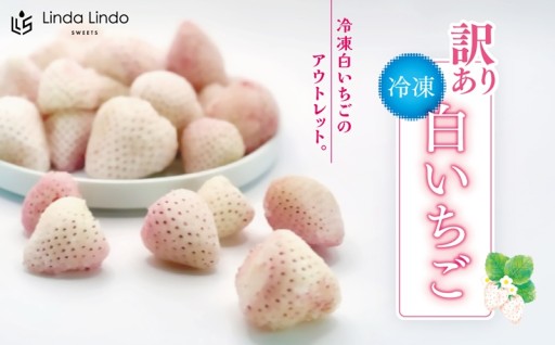 訳あり 冷凍 白いちご Linda Lindo 1袋 500g