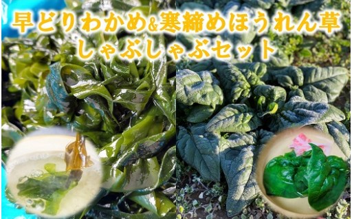 ほうれん草＆わかめ 三陸普代しゃぶしゃぶセット