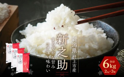 【令和7年産米】新潟県 村上市 岩船産 新之助6kg