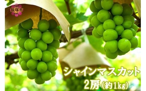 ブドウの女王を召しあがれ🍇