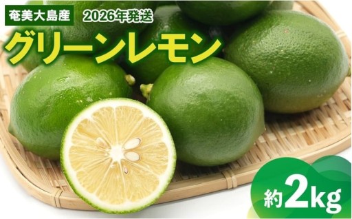 2026年発送【あたり果樹園】奄美大島産 グリーンレモン 約2kg