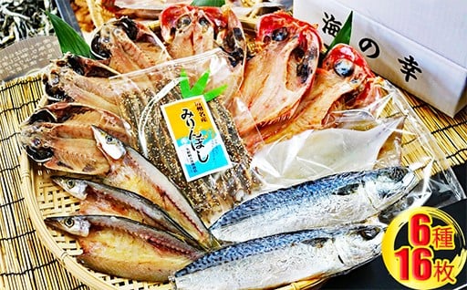 地元でも人気！南房総の潮の香りをお届けします！