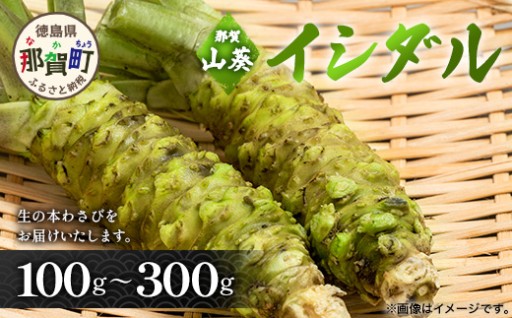 【国産】那賀わさび イシダル 約100～300ｇ
