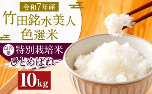 令和7年産 竹田銘水美人色選米 白丹産特別栽培米 ひとめぼれ 10kg