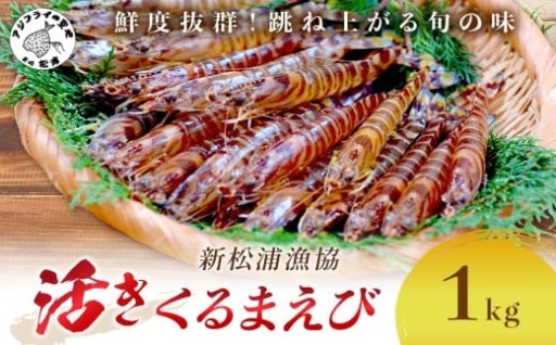 大好評の活きくるまえび🦐申込期日が迫っています!!