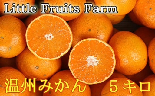 【受付終了間近】【訳あり品】温州みかん 約5kg