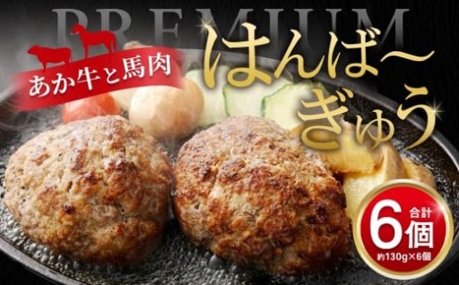 【菅乃屋×オオツカ コラボ】はんば～ぎゅう 計約780g（約130g×6個セット）