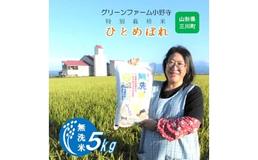 無洗米　グリーンファーム小野寺のひとめぼれ5kg