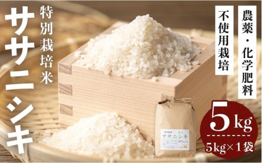 ≪令和7年産≫ 登米市産 ササニシキ 5kg×1袋 特別栽培米