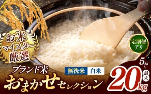 【 令和7年産 】熊本県産 白米 or 無洗米 
