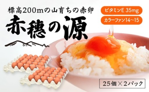 赤穂の源 50個（40個+割れ保証10個）（25×2パック） 