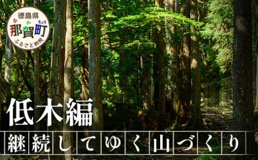 【橋本山林】継続してゆく山づくり(低木編)1名様