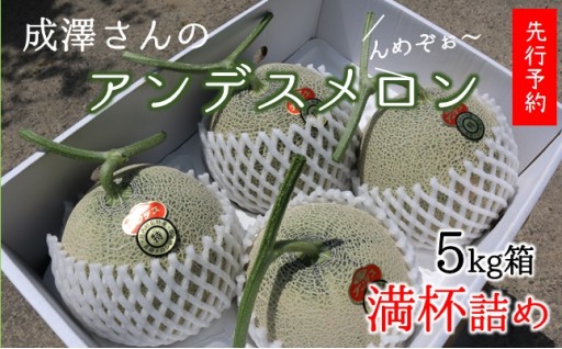 成澤さんのアンデスメロン（5kg箱満杯詰め）