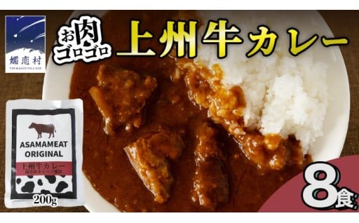 【選べる発送時期！】上州牛カレー