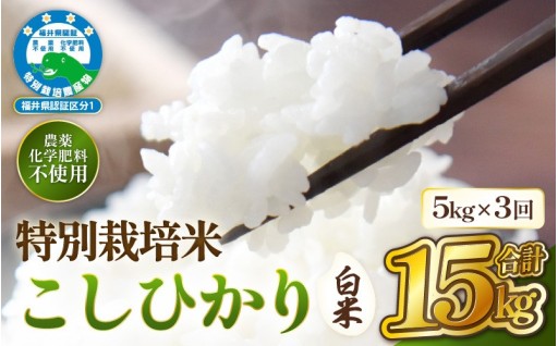 【定期便】自慢の特別栽培米🌾農薬＆化学肥料不使用