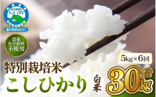 【定期便】自慢の特別栽培米🌾農薬＆化学肥料不使用