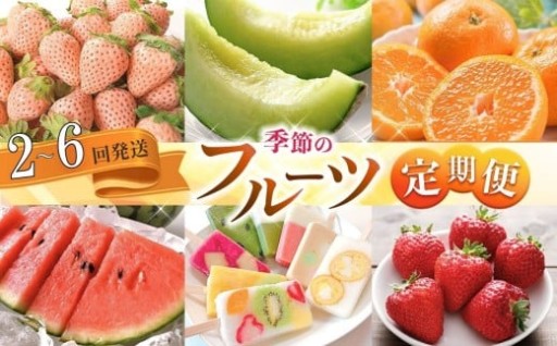 【定期便】熊本人気フルーツ 旬の季節にお届け 選べる発送回数 2回 / 4回 / 6回