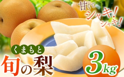 くまもと 旬の 梨 約 3kg