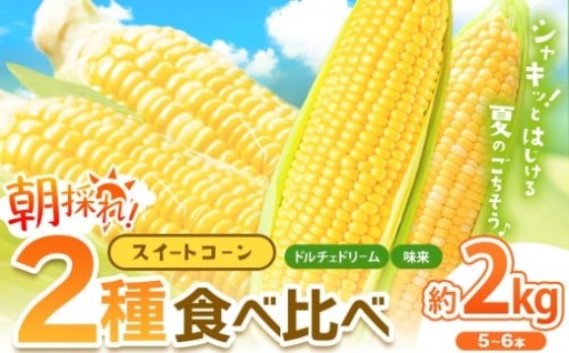 【 2026年 先行予約 】とうもろこし 2種食べ比べミックス 味来×ドルチェドリーム 約2㎏（5～6本）