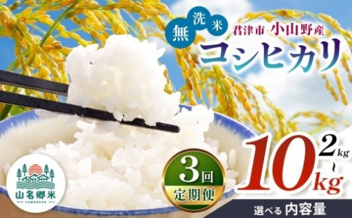 【 定期便 3回 】無洗米 令和7年産 君津市小山野産 コシヒカリ 選べる容量 2kg 3kg 5kg 10kg