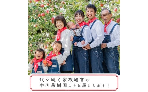 雪室りんご 3kg「樹上完熟 ふじりんご」