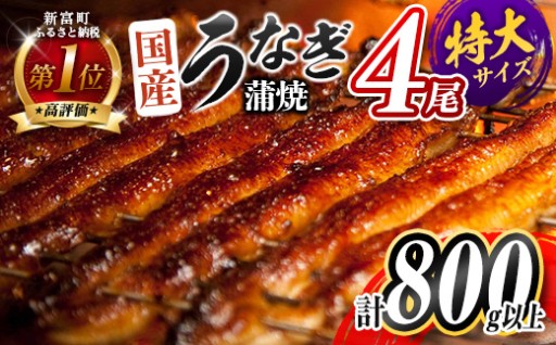 ＜選べる配送月!!＞鰻楽 国産 特大4尾800g