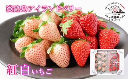 淡路島アイランドベリー　紅白いちご　淡雪/とちおとめ