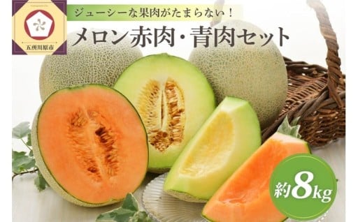 🍈【2026年先行予約】【選べる配送時期】 メロン 約8kg 赤肉・青肉 品種おまかせセット (4～6玉) 🍈