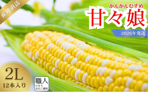 とうもろこし 甘々娘 2Lサイズ 12本入り 