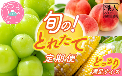 山梨県市川三郷町産【旬の採れたて定期便 3回】