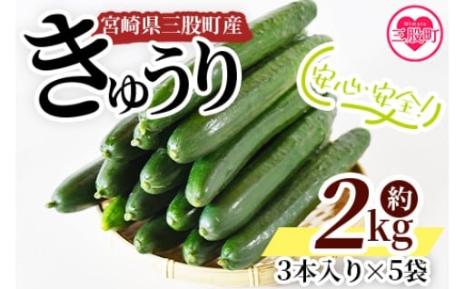 ＜【先行予約】【期間限定】宮崎県産きゅうり(約2kg)＞(約2kg・3本入り×5袋)