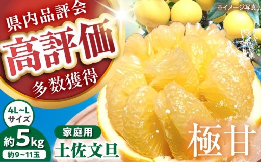 先行予約受付中！千光士農園の土佐文旦（約5kg） 