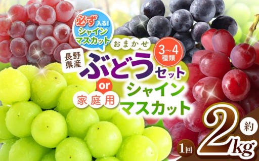 【先行予約】農家さん応援！【選べるご家庭用】シャインマスカット or シャインマスカットの入ったお任せセット