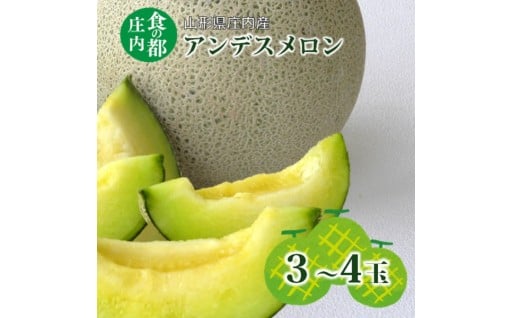 アンデスメロン 3～4玉※7月上旬頃より発送開始