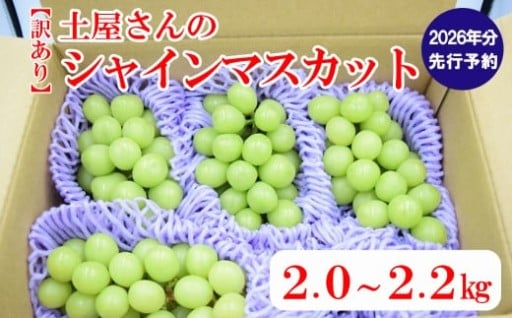 【高評価】【訳あり】土屋さんのシャインマスカット（４～６房程度・２ｋｇ～２．２ｋｇ）