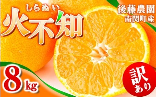 ご家庭用 【先行受付】訳あり不知火 8kg