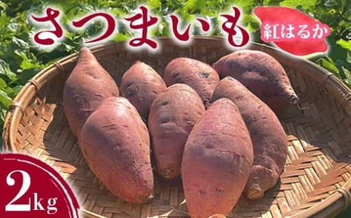愛知県美浜町産さつまいも🍠栽培期間中、農薬及び化学肥料不使用の安心安全なさつまいもです！