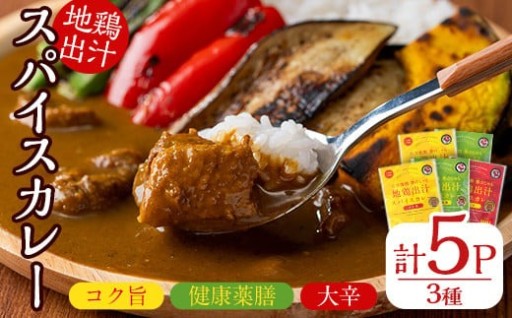 大分地鶏豊のしゃも地鶏出汁スパイスカレー(計900g・180g×5パック)